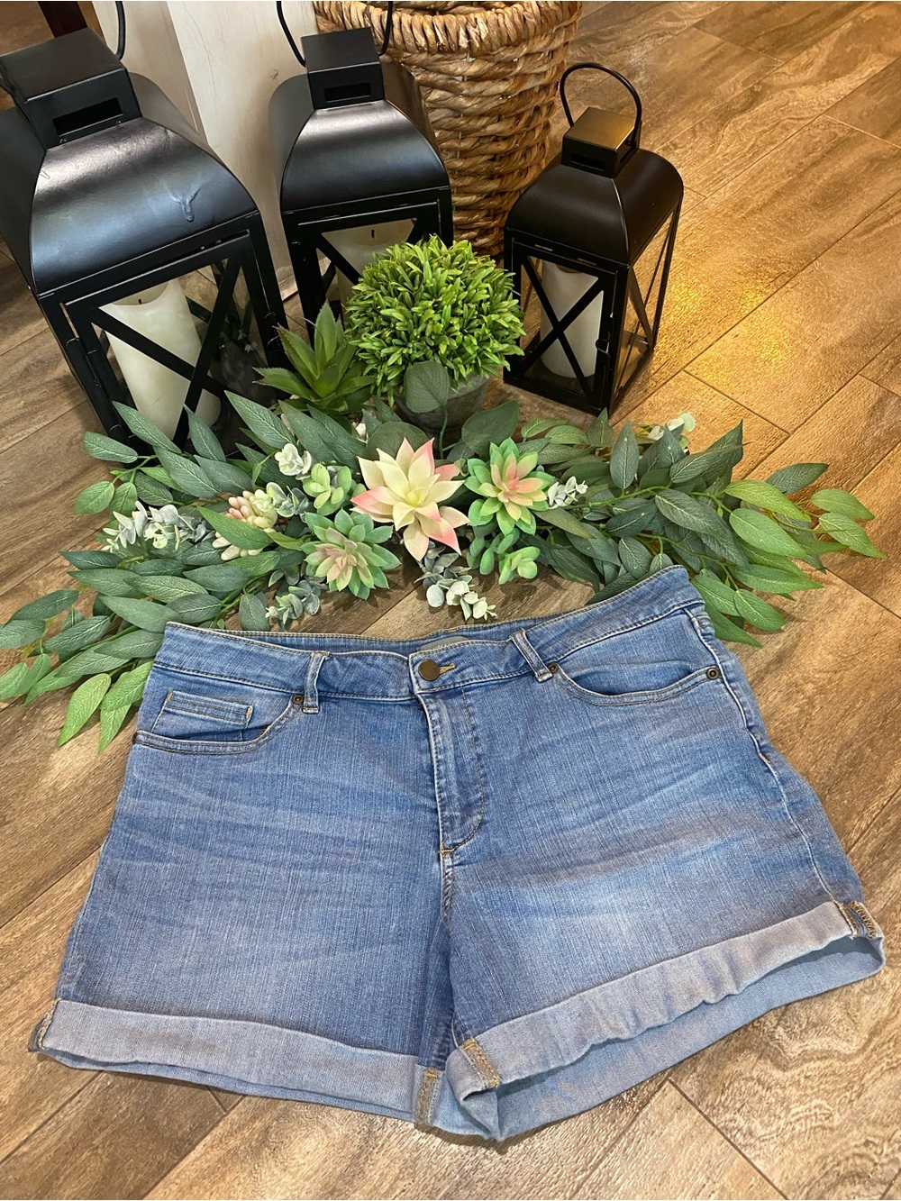 New York & Company Plus Size Light Blue Denim Roll-Cuff Shorts